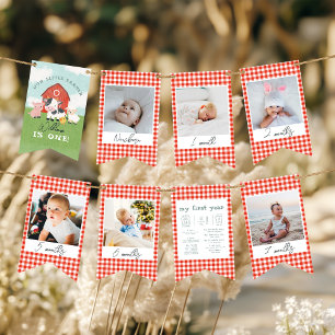 Boys Cute Farm 1st Birthday Milestone Photo Bunting