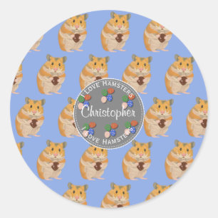 Boys I love Hamsters Easter Pattern Classic Round Sticker