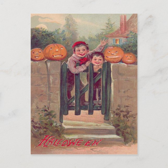 Boys Jack O Lantern Pumpkin Fence Postcard (Front)