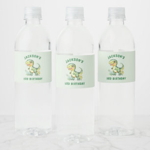 Boys Personalised Cute Dinosaur Birthday  Water Bottle Label