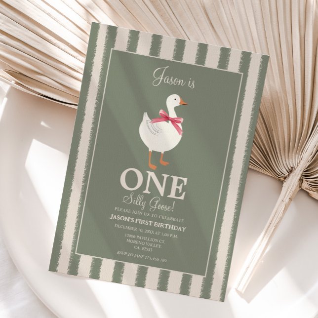 Boys Silly Goose Themed Birthday Invite (Creator Uploaded)