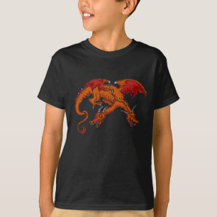 Boys two headed dragon shirt