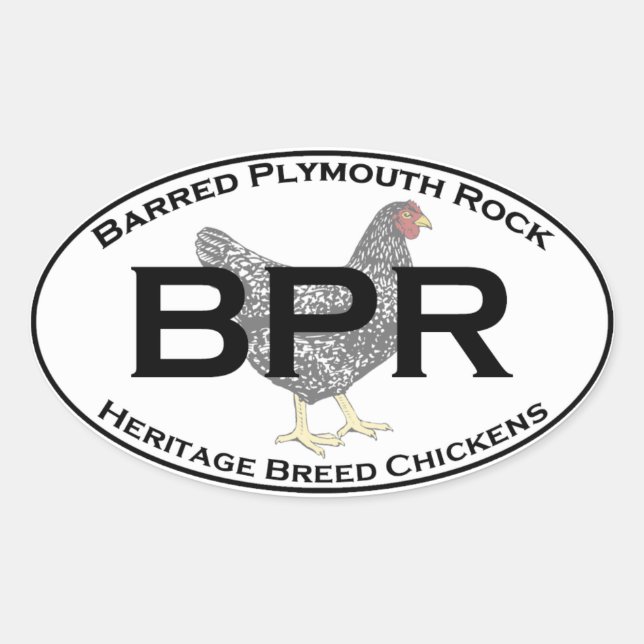 BPR - Barred Plymouth Rock Heritage Breed Chickens Oval Sticker (Front)