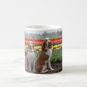 Bracco_italiano group.png coffee mug