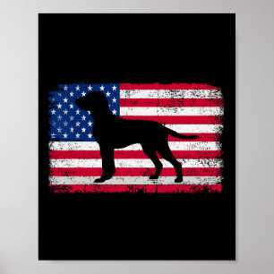 Bracco Italiano Lover 4th Of July Patriotic Americ Poster