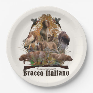Bracco italiano sherpa blanket paper plate