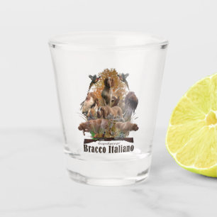 Bracco italiano shot glass