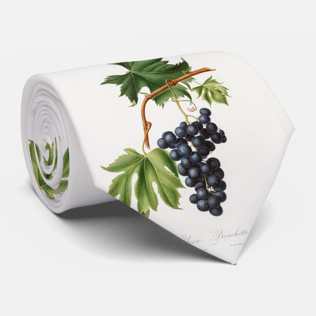 Brachetto grape by Giorgio Gallesio Tie (Rolled)