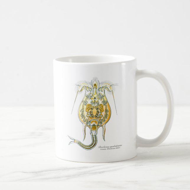 Brachionus Coffee Mug (Right)