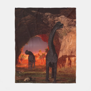 Brachiosaurus disappear in a cave fleece blanket