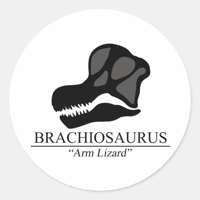 Brachiosaurus Skull Classic Round Sticker (Front)