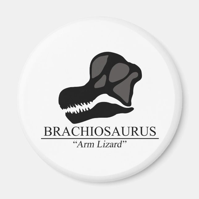 Brachiosaurus Skull Magnet (Front)