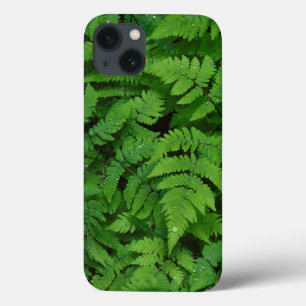 Bracken fern with rain drops, Washington State iPhone 13 Case