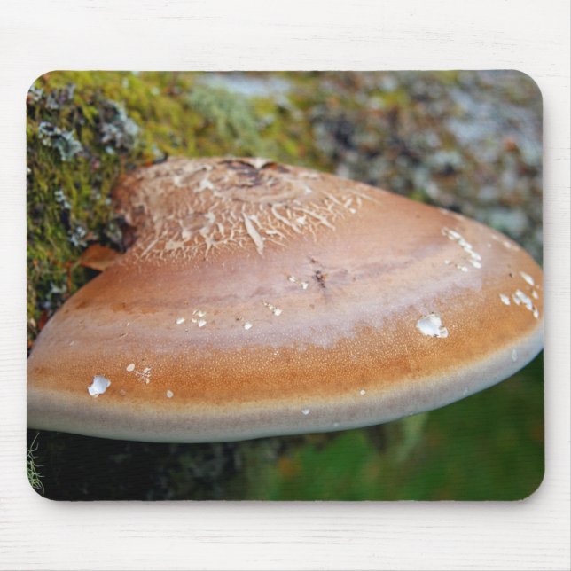 Bracket fungus mouse pad (Front)