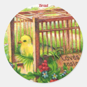 BRAD ~ EASTER CHICK ~ Sweet Cute Vintage Art  Classic Round Sticker