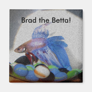 Brad the Betta! Magnet