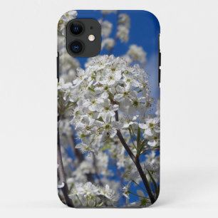 Bradford Pear Blooms iPhone 11 Case