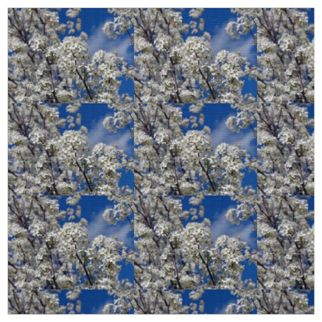 Bradford Pear Blooms Fabric (Swatch)