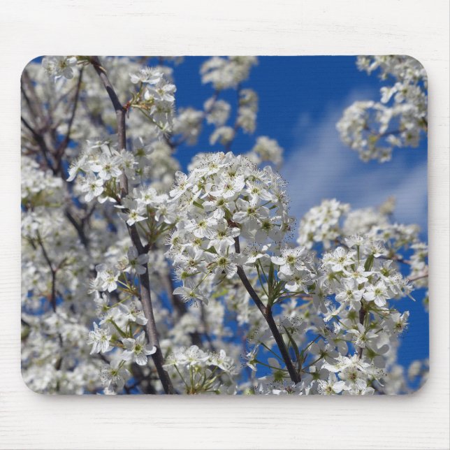 Bradford Pear Blooms Mouse Pad (Front)