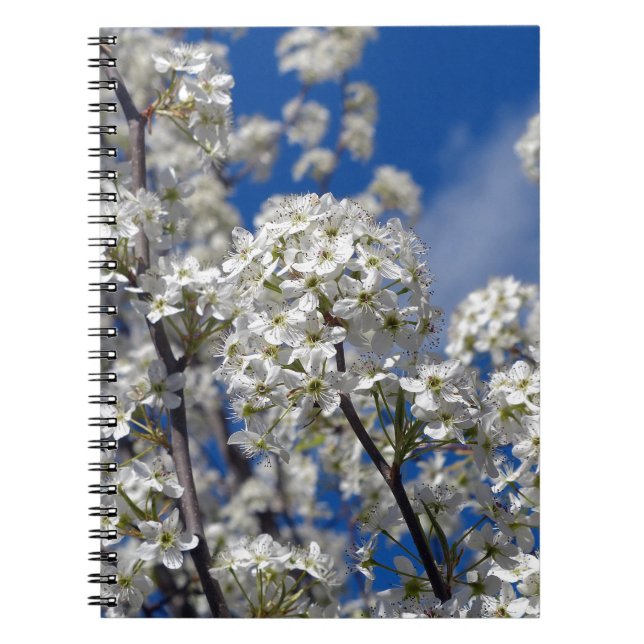 Bradford Pear Blooms Notebook (Front)