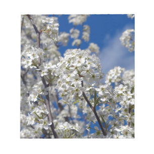 Bradford Pear Blooms Notepad