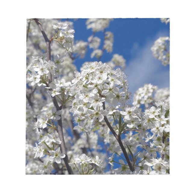 Bradford Pear Blooms Notepad (Front)