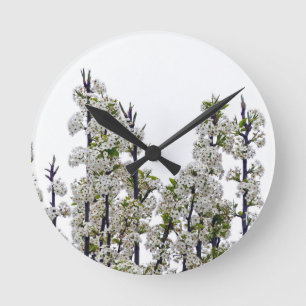 Bradford Pear Blossoms Round Clock