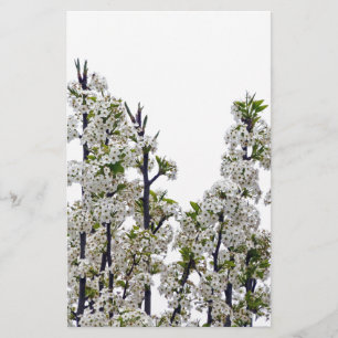 Bradford Pear Blossoms Stationery