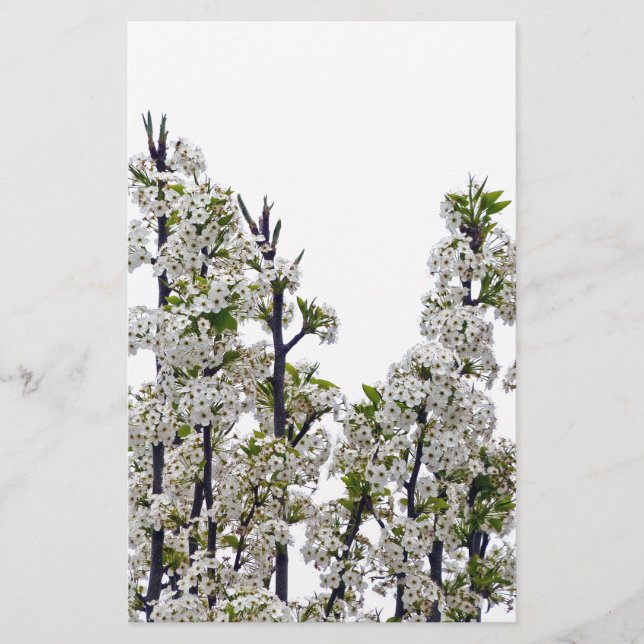 Bradford Pear Blossoms Stationery (Front)