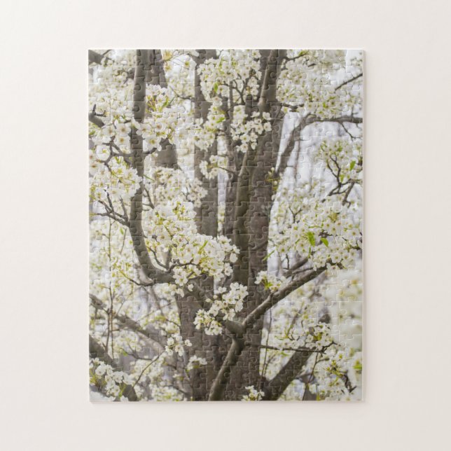 Bradford Pear Tree White Spring Floral Nature Jigsaw Puzzle (Vertical)
