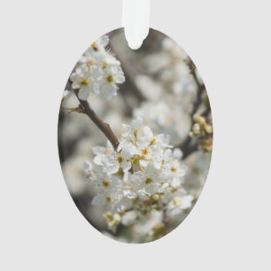 Bradford Select Focus Ornament