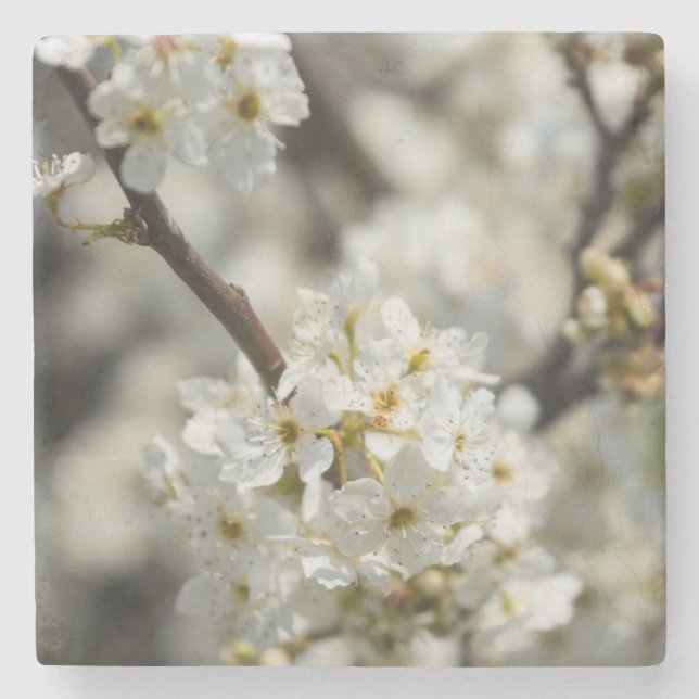 Bradford Select Focus Stone Coaster (Front)