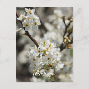 Bradford Select Focus Thank You Postcard