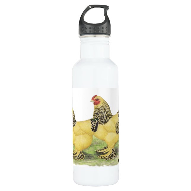 Brahma Buff Pair 710 Ml Water Bottle (Front)
