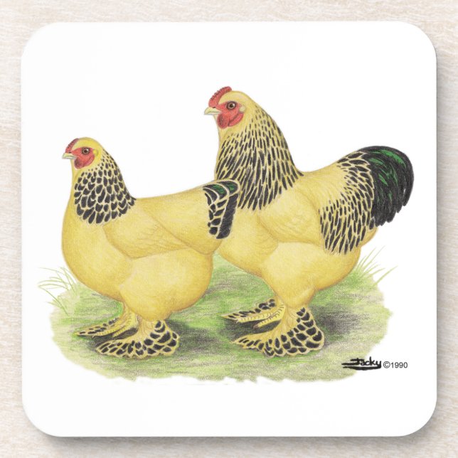 Brahma Buff Pair Coaster (Front)