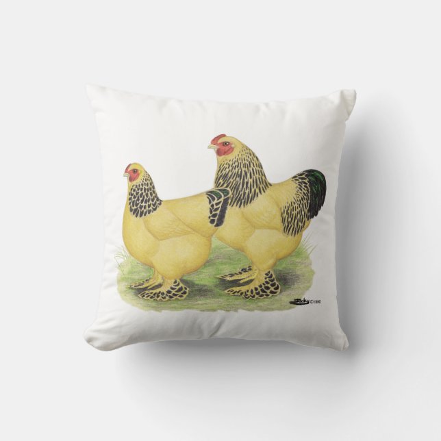 Brahma Buff Pair Cushion (Front)