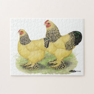 Brahma Buff Pair Jigsaw Puzzle