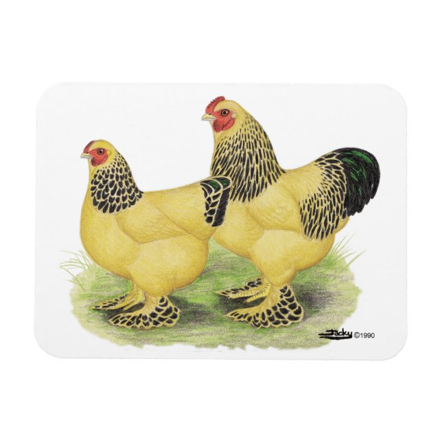 Brahma Buff Pair Magnet (Horizontal)