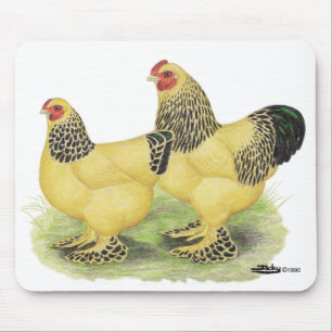 Brahma Buff Pair Mouse Pad