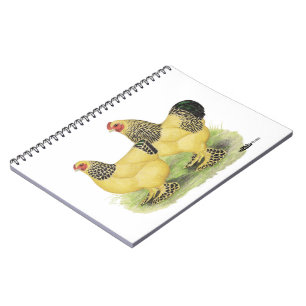 Brahma Buff Pair Notebook