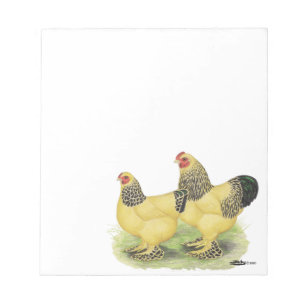 Brahma Buff Pair Notepad