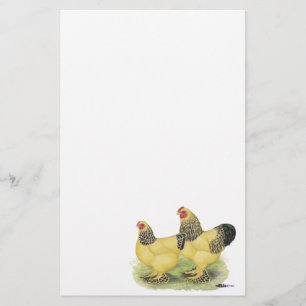Brahma Buff Pair Stationery