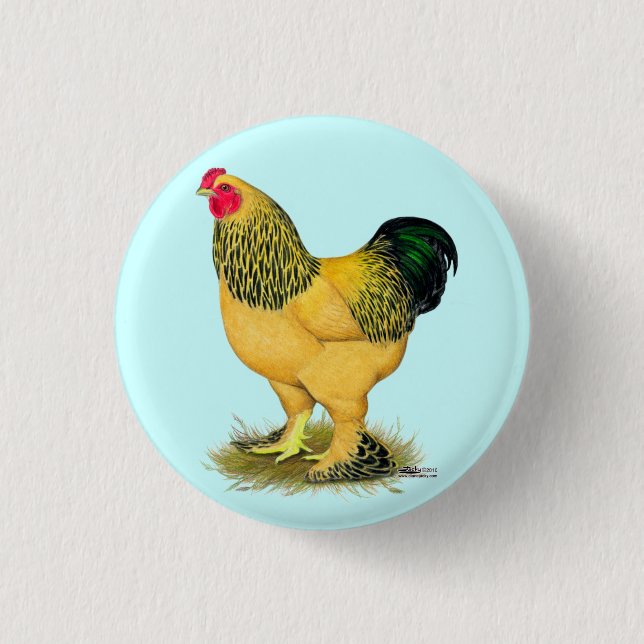Brahma:  Buff Rooster 3 Cm Round Badge (Front)