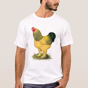 Brahma:  Buff Rooster T-Shirt