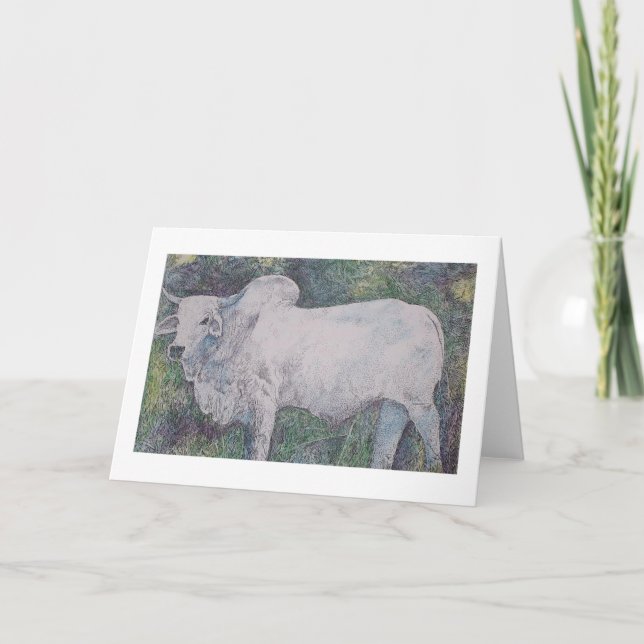 BRAHMA BULL CARD (Front)