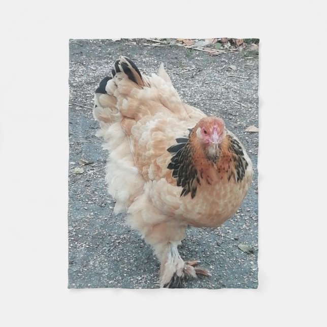 Brahma chicken taking a stroll. fleece blanket (Front)