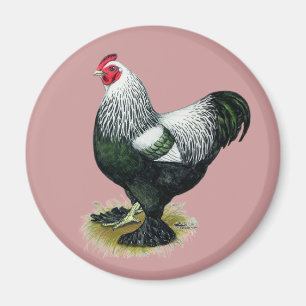 Brahma:  Dark Rooster Magnet