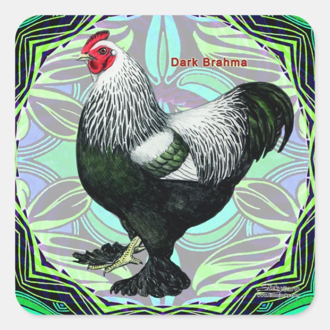 Brahma:  Fancy Dark Rooster Square Sticker (Front)
