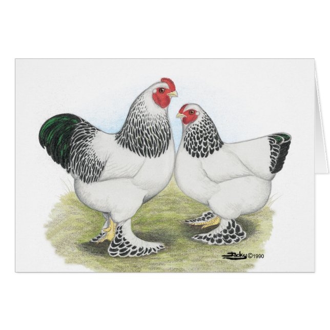 Brahma:  Light2 (Front Horizontal)