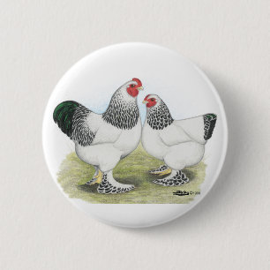 Brahma:  Light2 6 Cm Round Badge